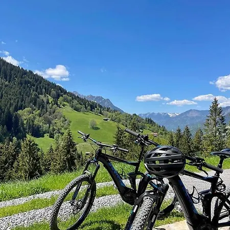 Alpennestchen * Tschagguns